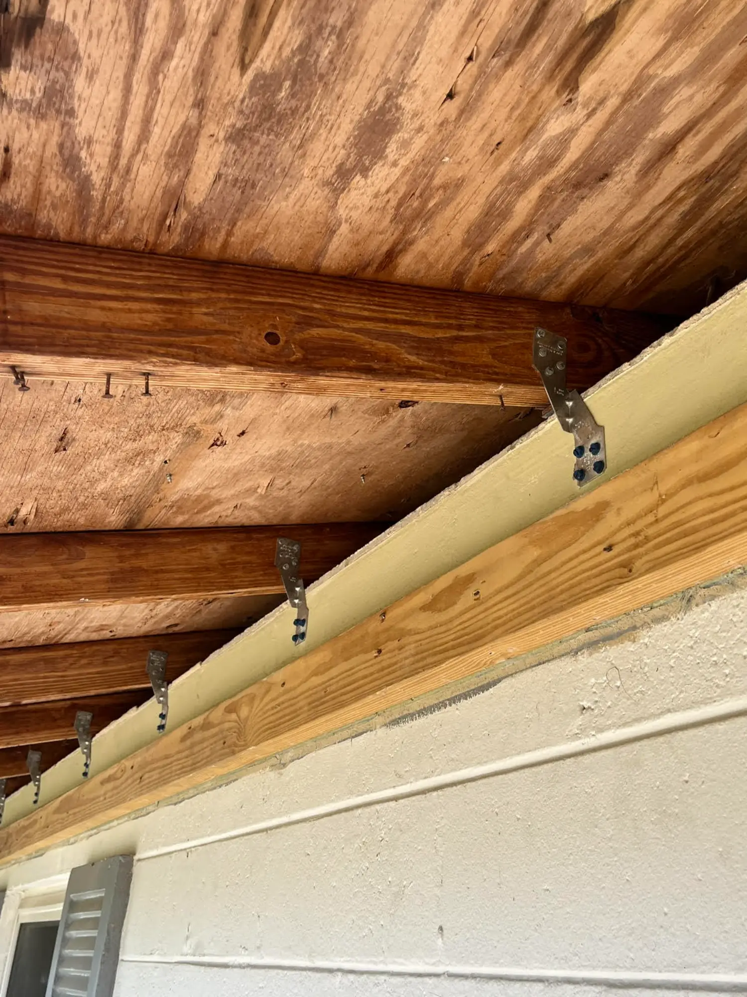 wind mitigation straps