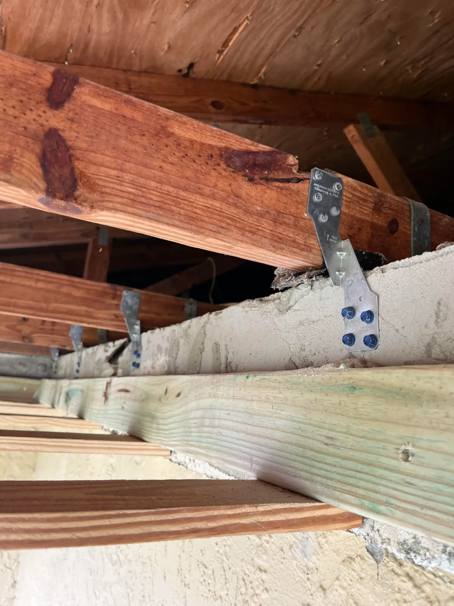 hurricane roof protection Brevard