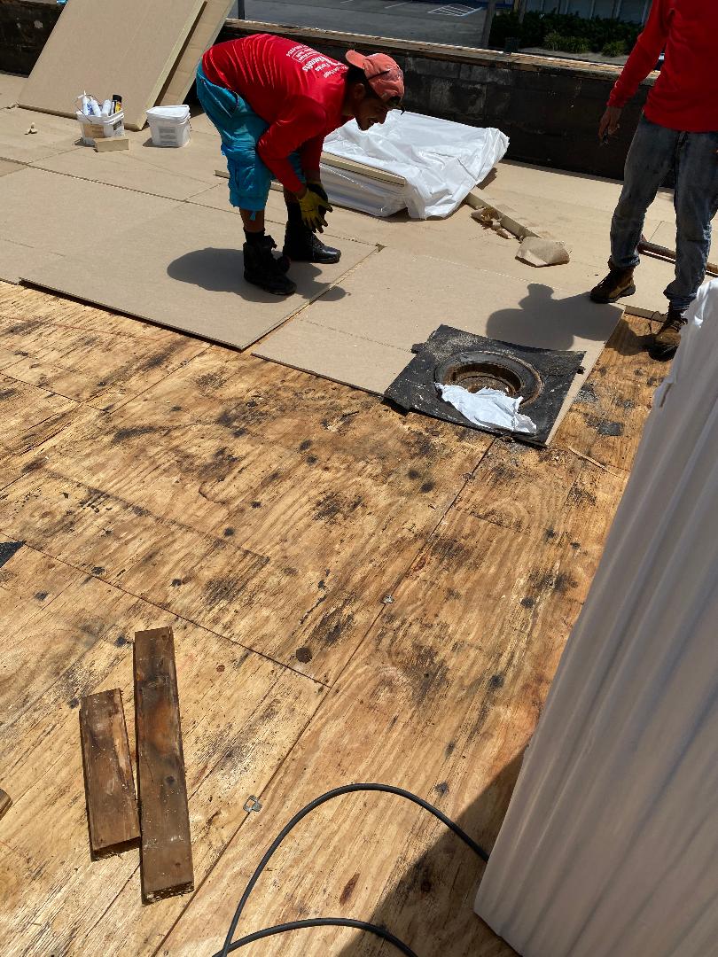 Government roofing services